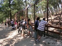 Wildlife Park of Budakeszi